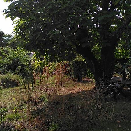 Villa Lulu Mérignac Εξωτερικό φωτογραφία